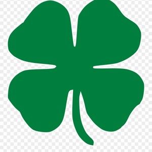 Meet your Posher, Bob